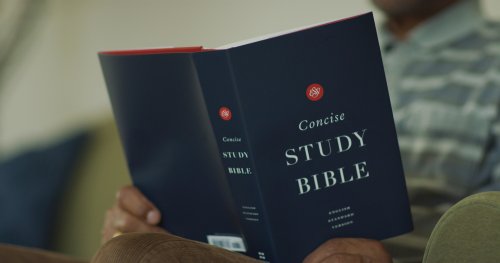 ESV Concise Study Bible, Navy, Hardback, Study Notes, Glossary, Maps, Charts, Illustrations, Articles, Book Introductions