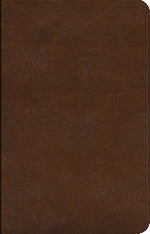 ESV Concise Study Bible, Brown, Imitation Leather, Glossary, Study Notes, Maps, Charts, Illustrations, Articles, Book Introductions