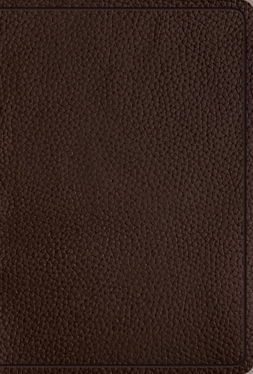 ESV Women's Study Bible (British Tan)