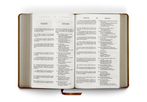 ESV Spanish/English Parallel Bible