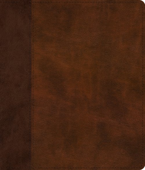 ESV Journaling Bible (TruTone, Brown/Tan, Timeless Design)