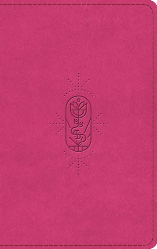 ESV Kid's Bible, Thinline, Red Letter (TruTone, Berry, The True Vine Design)