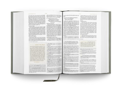 ESV Men's Study Bible (Hardcover)