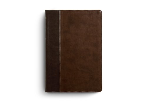 ESV Large Print Thinline Reference Bible (TruTone, Brown/Walnut, Timeless Design)