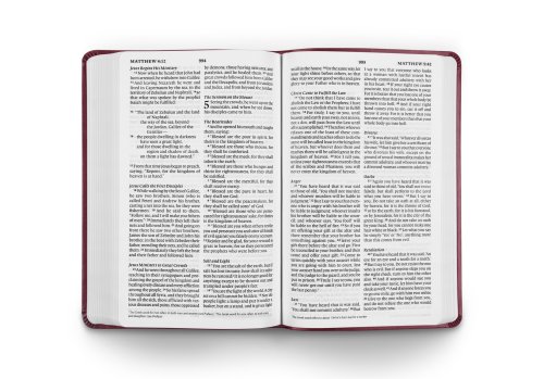 ESV Large Print Value Thinline Bible (TruTone, Raspberry, Floral Design)