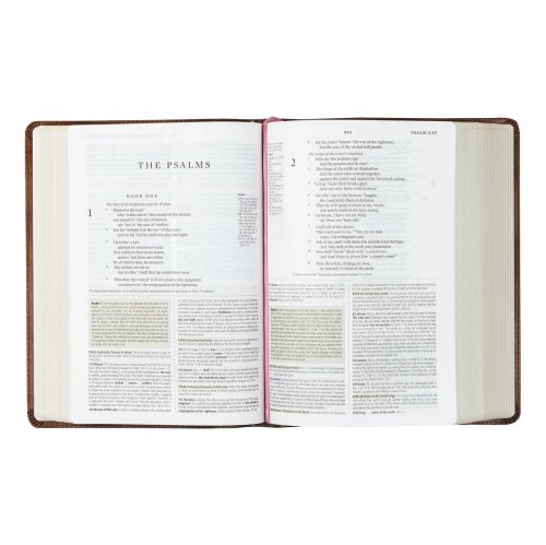 Hosanna Revival ESV Study Bible: Aurora Theme