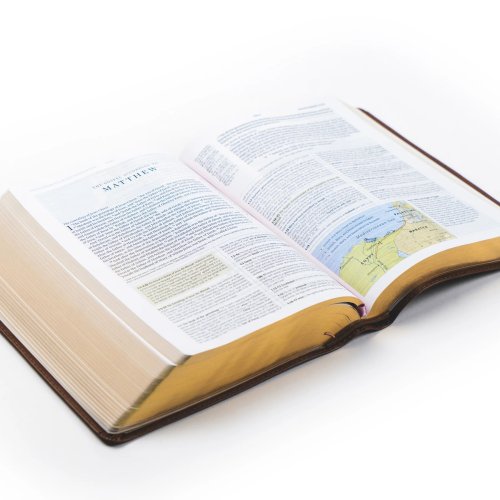 Hosanna Revival ESV Study Bible: Aurora Theme