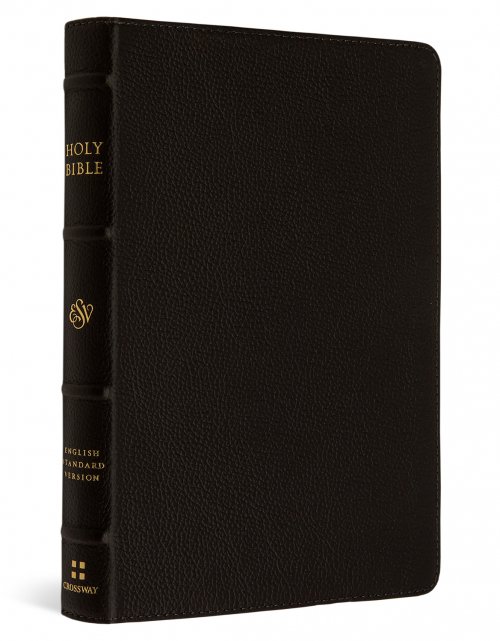 ESV Compact Bible (Buffalo Leather, Deep Brown)