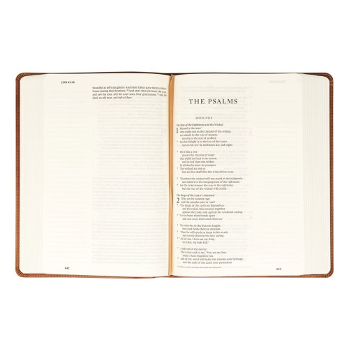 Hosanna Revival ESV Large Print Journaling Bible : Sierra Theme