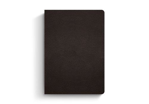 ESV Study Bible, Large Print (Buffalo Leather, Deep Brown)