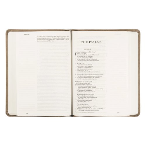 Hosanna Revival ESV Large Print Journaling Bible : Nara Theme