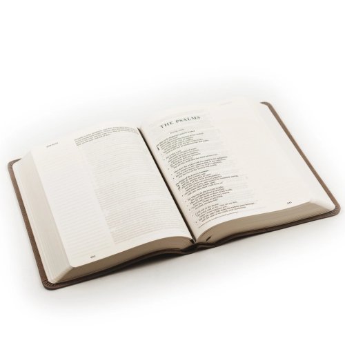 Hosanna Revival ESV Large Print Journaling Bible : Nara Theme