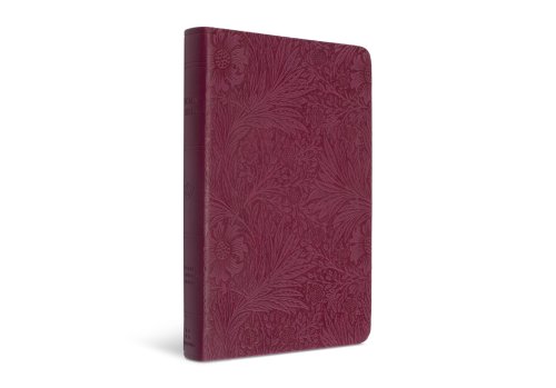 ESV Value Thinline Bible (TruTone, Raspberry, Floral Design)