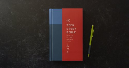 ESV Teen Study Bible (Hardcover, Cliffside)