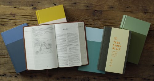 ESV Teen Study Bible (Hardcover, Cliffside)