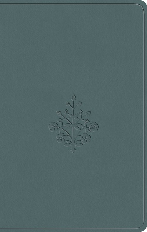 ESV Value Compact Bible (TruTone, Paris Sky, Branch Design)