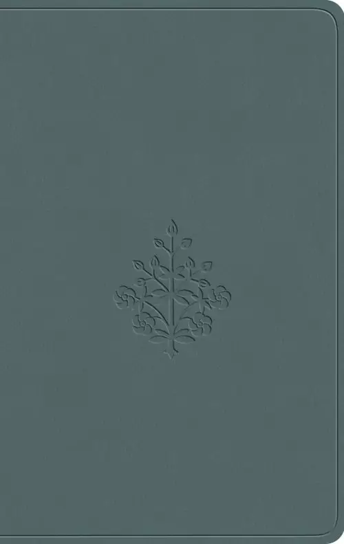 ESV Value Compact Bible (TruTone, Paris Sky, Branch Design)