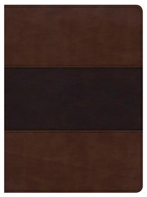 CSB Apologetics Study Bible, Mahogany Leathertouch