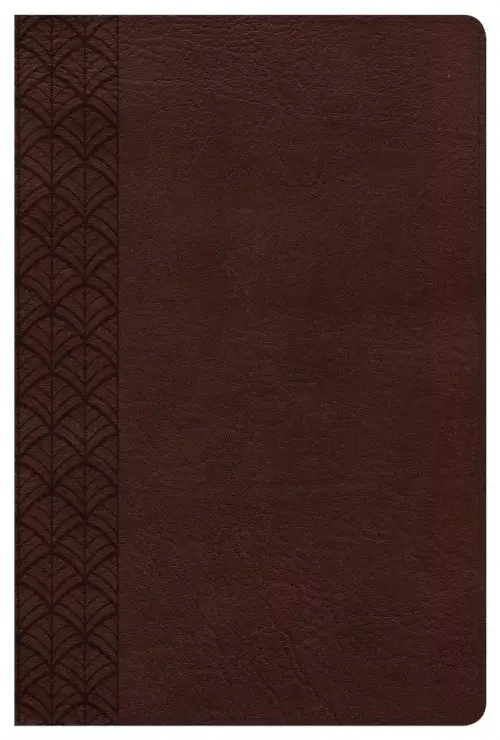 The CSB Study Bible For Women, Chocolate LeatherTouch, Indexed