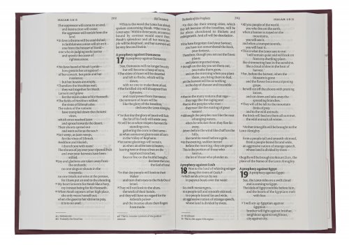 NIV Anglicised  Bible, Burgundy, Hardback, Lists of Key People, List of Event, Maps