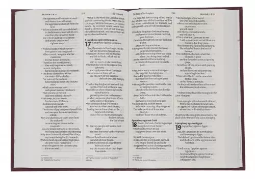 NIV Anglicised  Bible, Burgundy, Hardback, Lists of Key People, List of Event, Maps