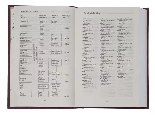 NIV Anglicised  Bible, Burgundy, Hardback, Lists of Key People, List of Event, Maps