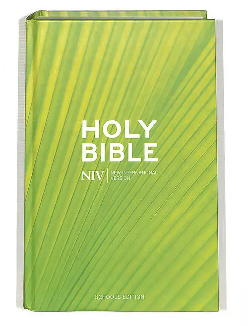 NIV Schools Bible