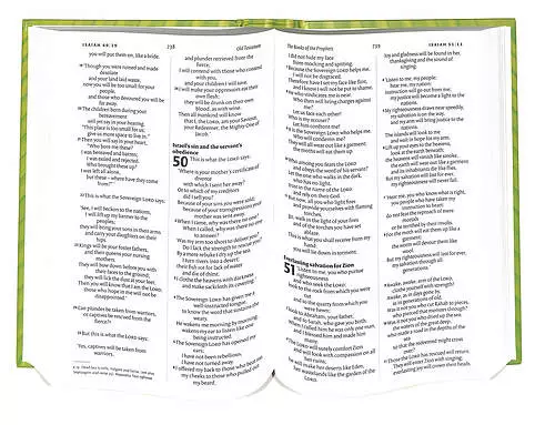 NIV Schools Bible