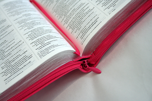 NIV Pocket Sized, Bible, Pink, Imitation Leather, Anglicised, Zip, Ribbon Marker, Presentation Page, Gilt Edge