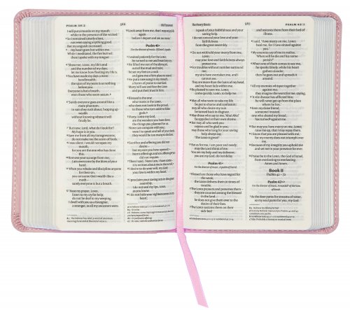 NIV Pocket Bible, Pink, Imitation Leather, Boxed, Gilt Edged, Ribbon Marker, Anglicised, Bible Reading Plan, Timeline, Book Overview, Helpful Bible Passages