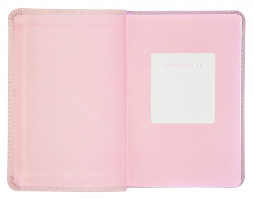 NIV Pocket Bible, Pink, Imitation Leather, Boxed, Gilt Edged, Ribbon Marker, Anglicised, Bible Reading Plan, Timeline, Book Overview, Helpful Bible Passages