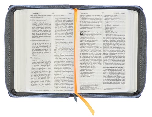 NIV Compact Bible, Charcoal, Imitation Leather, Anglicised, Slipcase, Zipped, Ribbon Marker, Presentation Page, 2011 Edition