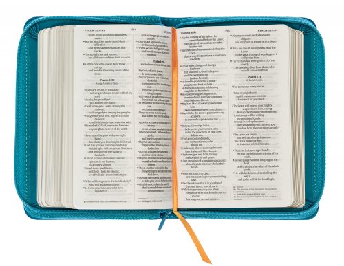 NIV Turquoise Pocket, Bible, Imitation Leather, Shortcuts to key stories, Reading plans, Book overview, Orange ribbon marker