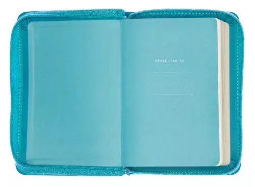 NIV Turquoise Pocket, Bible, Imitation Leather, Shortcuts to key stories, Reading plans, Book overview, Orange ribbon marker