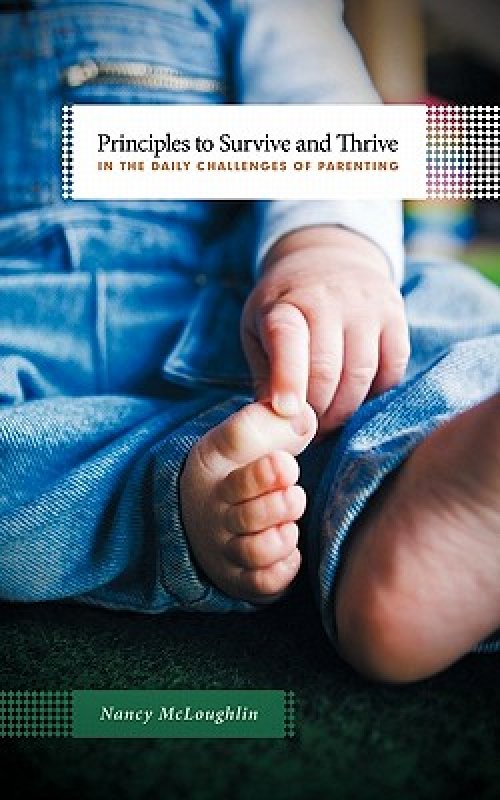 Principles to Survive and Thrive in the Daily Challenges of Parenting