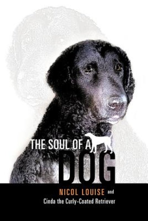 Soul Of A Dog