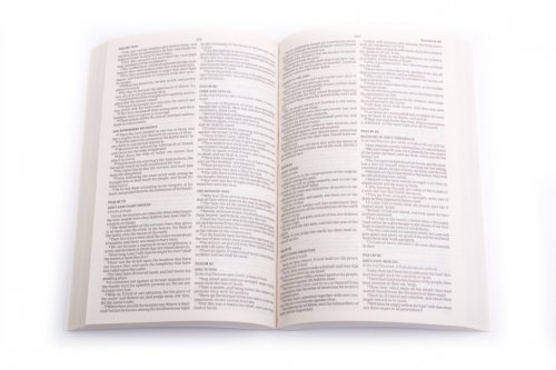 KJV Outreach Bible, Frequently Asked Questions, Topical Subheadings, Double Column