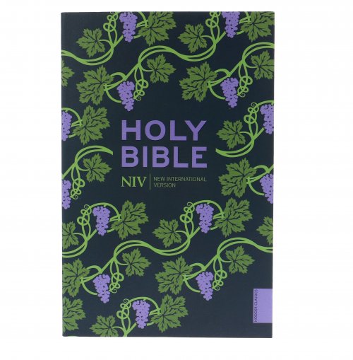 NIV Holy Bible, Purple, Paperback, Hodder Classic Design, Reading Plan, Anglicized Text, Topics Guide