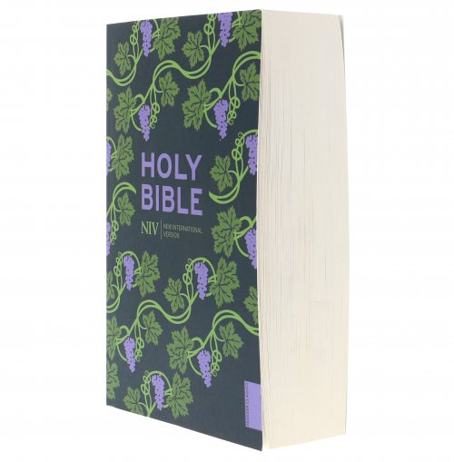 NIV Holy Bible, Purple, Paperback, Hodder Classic Design, Reading Plan, Anglicized Text, Topics Guide