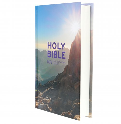 NIV Thinline Value Bible, Purple, Hardback, Easy-to-Read Layout, Shortcuts to Key Stories, Reading Plan, Table of Weights and Measures, Quick Links, Concordance