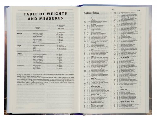 NIV Thinline Value Bible, Purple, Hardback, Easy-to-Read Layout, Shortcuts to Key Stories, Reading Plan, Table of Weights and Measures, Quick Links, Concordance