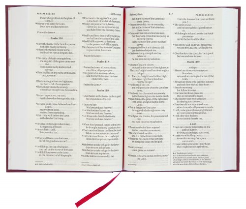 NIV Pew Bible, Burgundy, Hardback, Larger Print, Anglicised, Maps, Reading Plan, Helpful Bible Passages