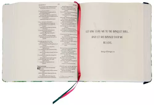 NIV Bible for Verse-Mapping, White, Hardcover, Extra-Wide Margins, 32 Verse-Mapping Pages, Ribbon Marker, Concordance and Shortcuts