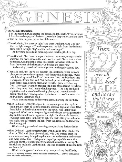 NLT Inspire Journalling Bible, Blue, Hardback, Large Print, Colouring, Extra Wide Margin, Scripture Illustrations, Ribbon Marker, Presentation Page