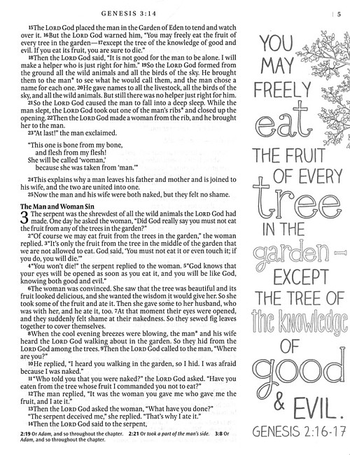 NLT Inspire Journalling Bible, Blue, Hardback, Large Print, Colouring, Extra Wide Margin, Scripture Illustrations, Ribbon Marker, Presentation Page