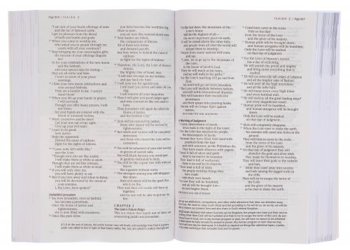 NLT Life Recovery Bible Personal Size