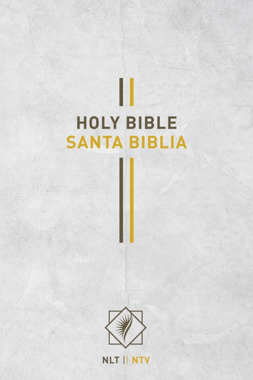 Bilingual Bible / Biblia bilingüe NLT/NTV (Hardcover, Gray)