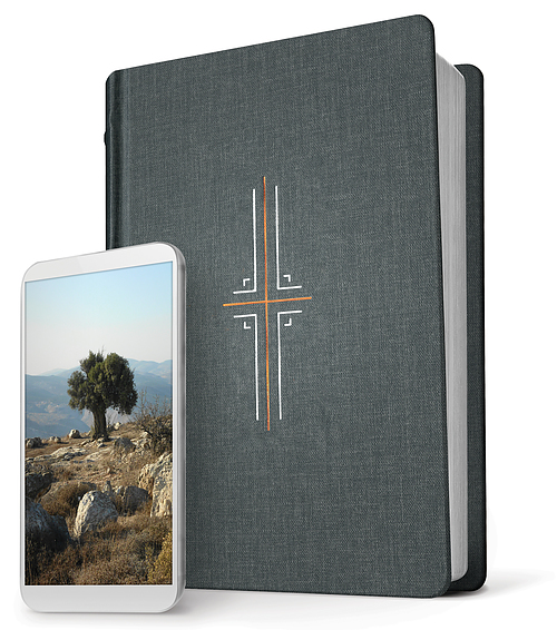 NLT Filament Bible, Grey, Hardback, Wider Margins, Presentation Page, Ribbon Marker, Study Notes, Print+Digital Bible