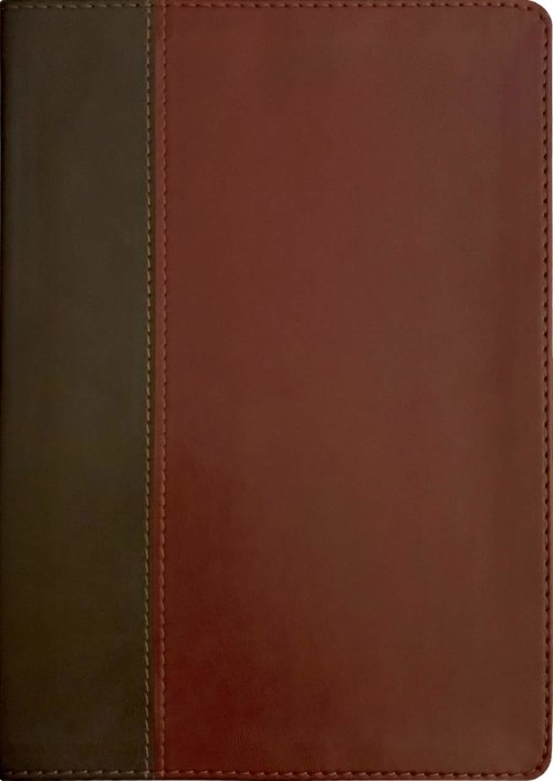 KJV Life Application Study Bible, Third Edition (LeatherLike, Brown/Mahogany, Red Letter)