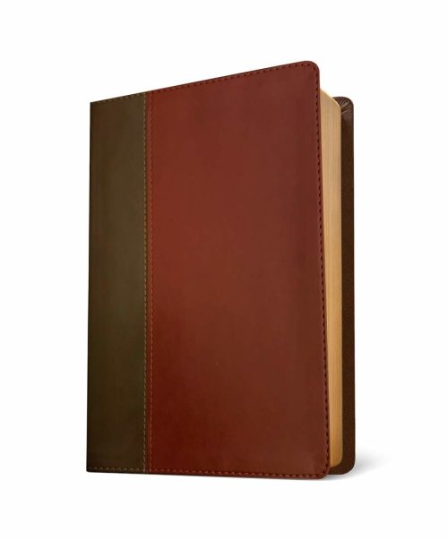 KJV Life Application Study Bible, Third Edition (LeatherLike, Brown/Mahogany, Red Letter)